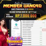 Jackpot Live Casino